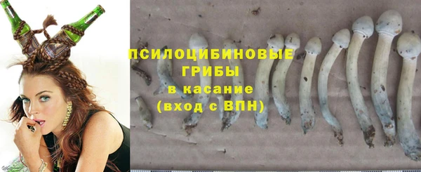 Альфа ПВП Баксан
