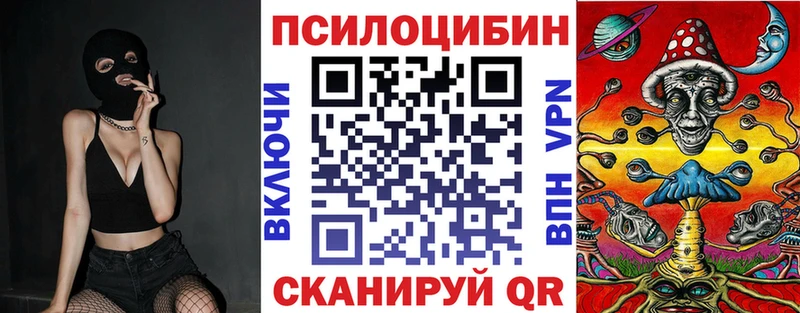 Псилоцибиновые грибы Psilocybe  маркетплейс какой сайт  Демидов 